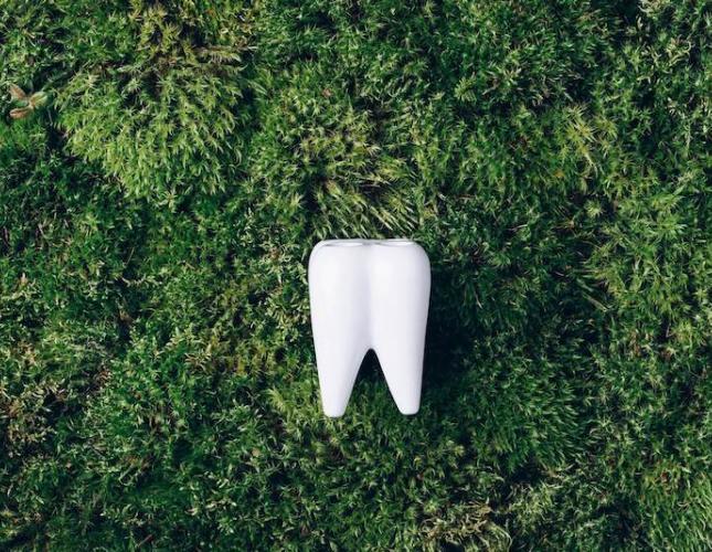 The Benefits of Using Biocompatible Dental Materials